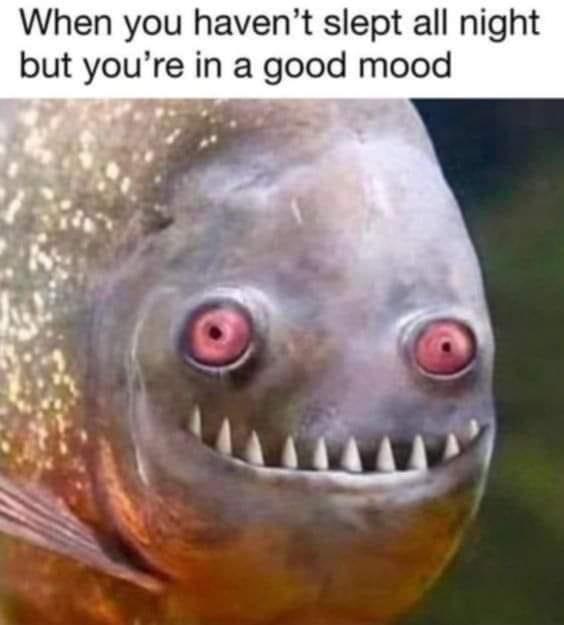 Meme by tumblrmademedoit
