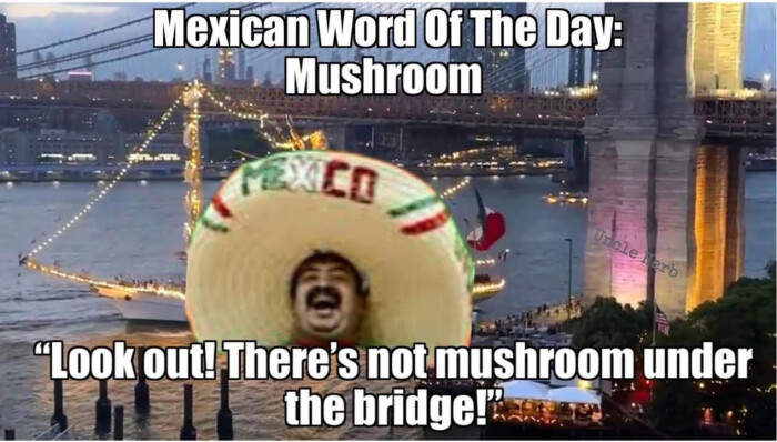 Mexican Word Of The Day: Mushroom "Look out! There's not mushroom under the bridge!