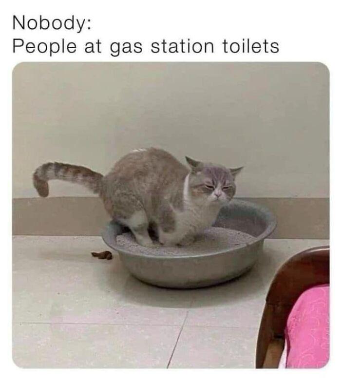 Meme by disneymemes