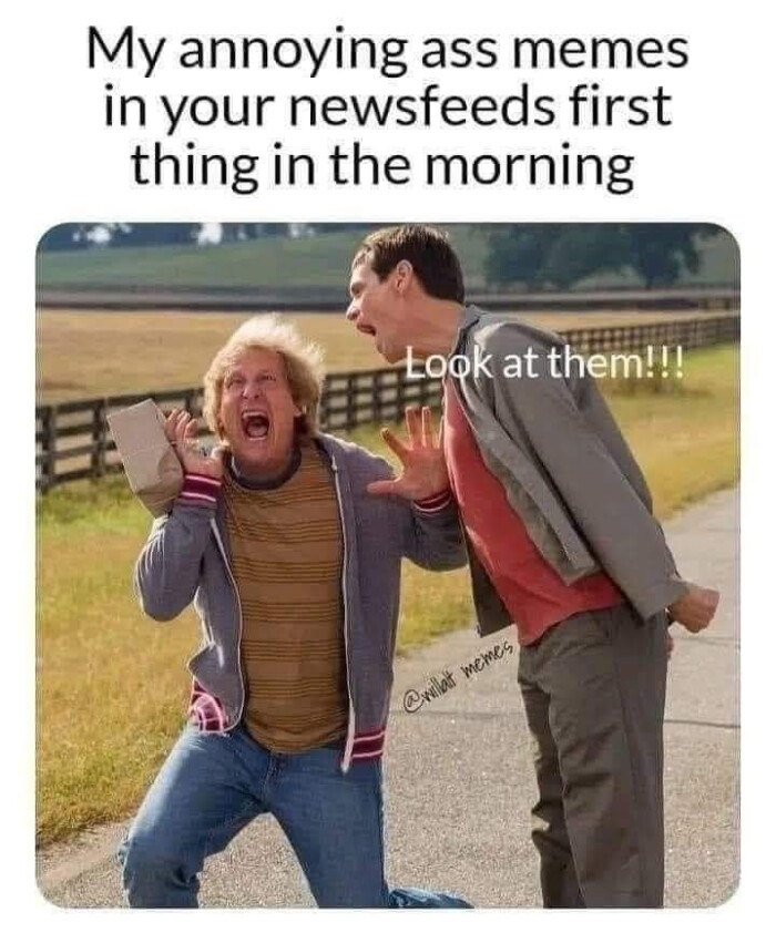 My annoying memes in your newsfeeds first thing the morning Look at them!!