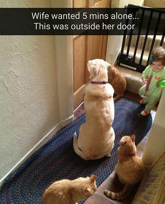 Meme by pupperdoggo