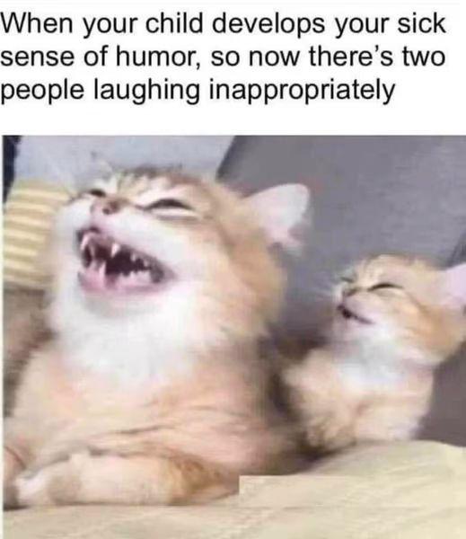 Meme by dailyposts
