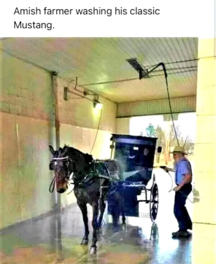 Amish farmer washing his classic Mustang.