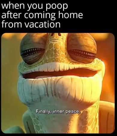 when you poop after coming home from vacation Finally, inner peace.