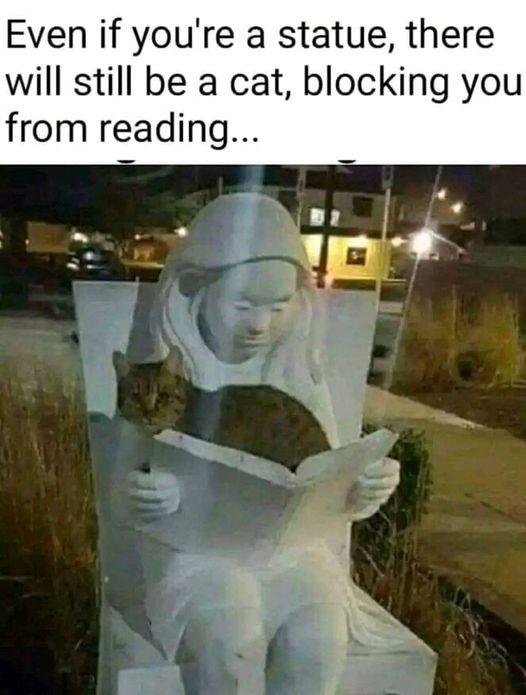 Meme by disneymemes