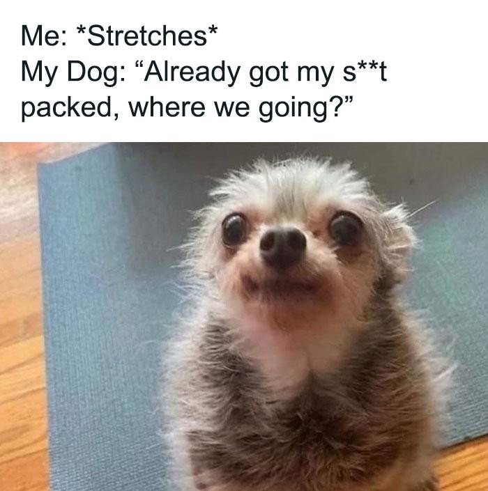 got my s** packed, where we going?"