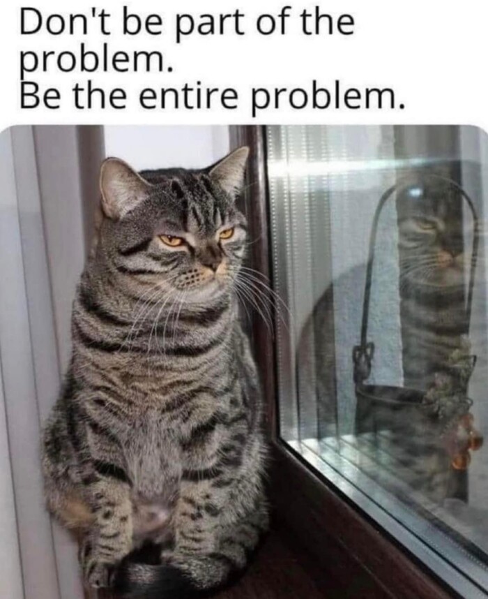Meme by postyourcats