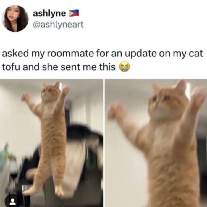 Meme by gargoyle