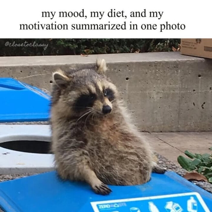 and motivation summarized in one photo