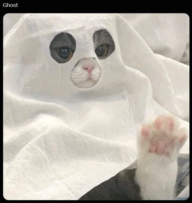 Ghost