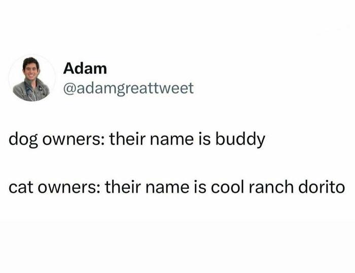 Meme by catsoncatnip