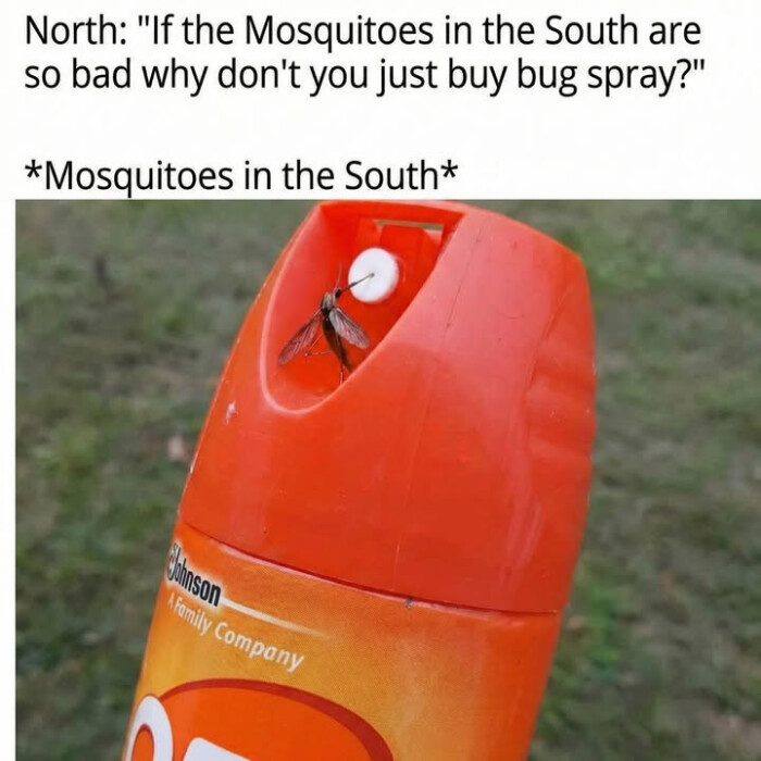 North: "If the Mosquitoes in South are so bad why don't you just buy bug spray?" *Mosquitoes South* family Company