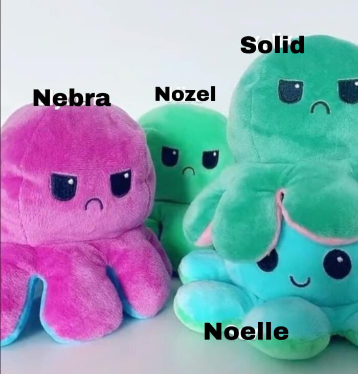 Nebra Solid Nozel Noelle