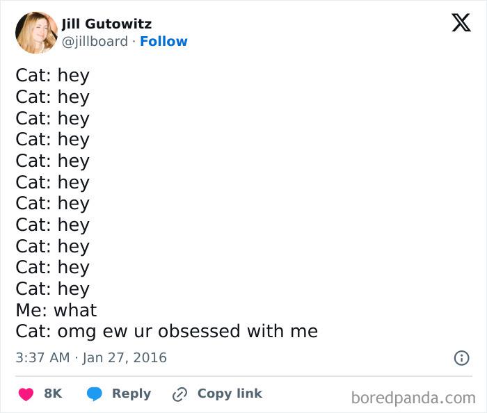 Meme by postyourcats