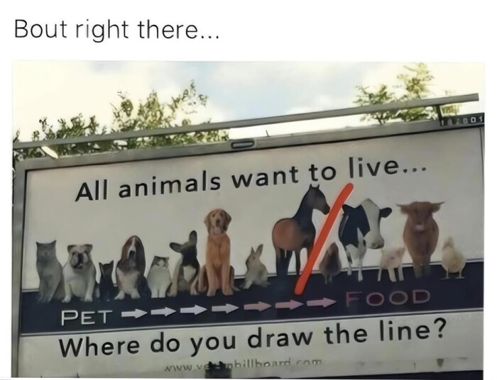 Meme by memelover