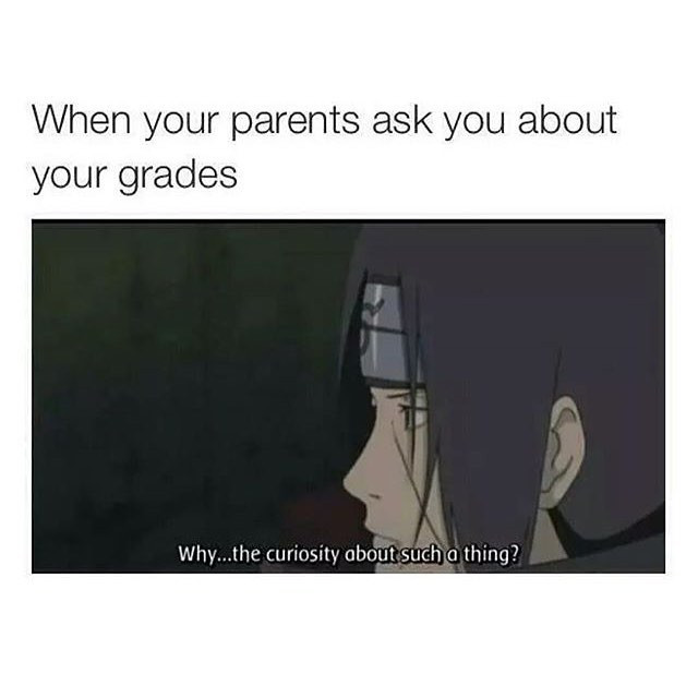 When your parents ask you about grades Why...the curiosity such a thing?