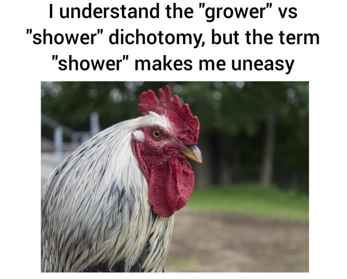 Meme by disneymemes