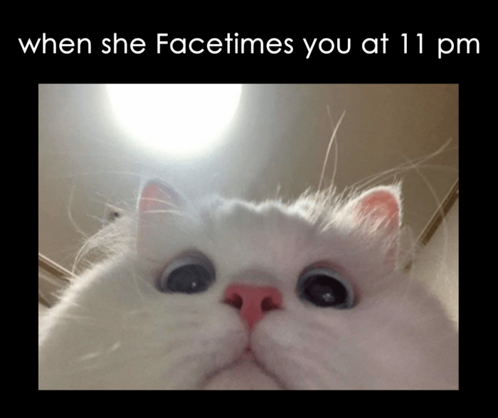 Meme by planted99
