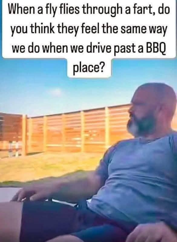When a fly flies through fart, do you think they feel the same way we when drive past BBQ place?