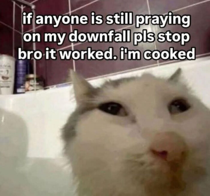 if anyone is still praving on my downfall pis stop bro it worked. I'm cooked