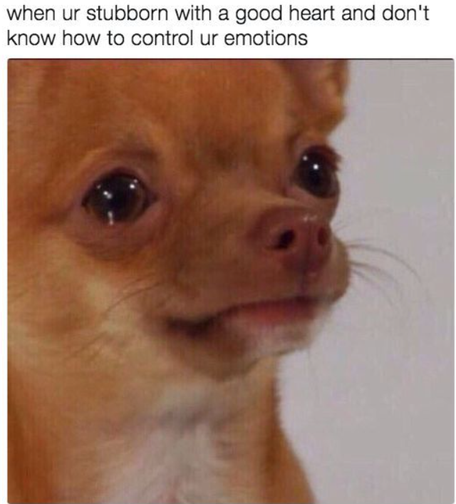 Meme by pupperdoggo