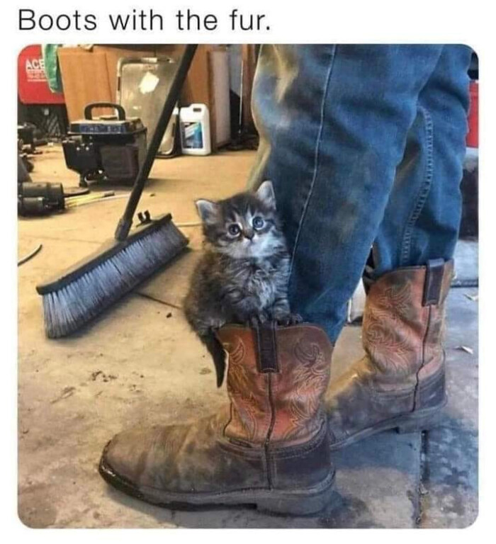 Boots with the fur.