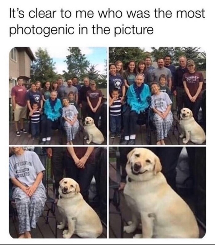 Meme by symphonyofmemes