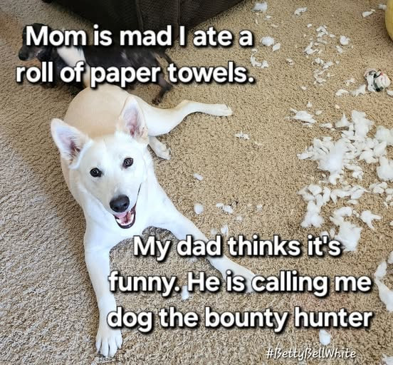 Mom is mad I ate a roll of paper towels. My dad thinks it's funny. He calling me dog the bounty hunter