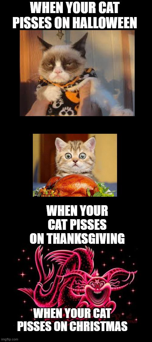 WHEN YOUR CAT PISSES ON HALLOWEEN THANKSGIVING CHRISTMAS imoflip.com