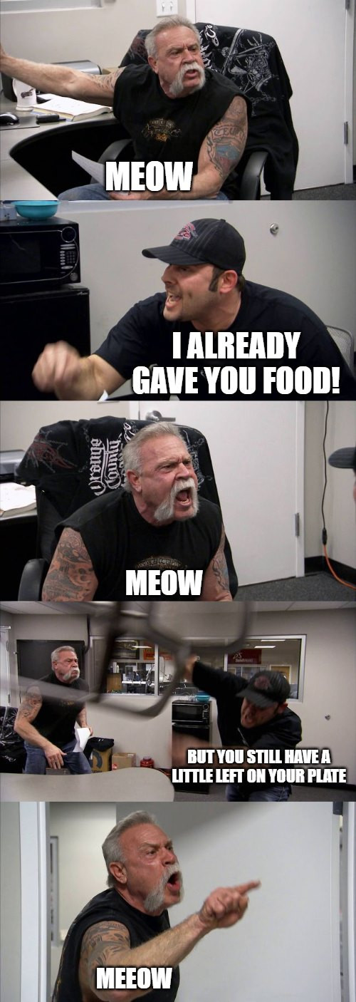 MEOW ALREADY GAVE YOU FOOD! BUT STILL HAVE A LITTLELEFT ON YOUR PLATE MEEOW