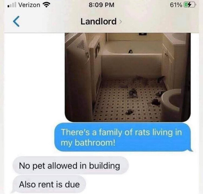 mill Verizon 8:09 PM Landlord > 61% EUR4 There's a family of rats living in my bathroom! No pet allowed building Also rent is due