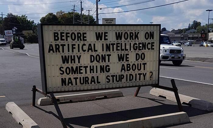 BEFORE WE WORK ON ARTIFICAL INTELLIGENCE WHY DONT DO SOMETHING "ABOUT NATURAL STUPIDITY ?