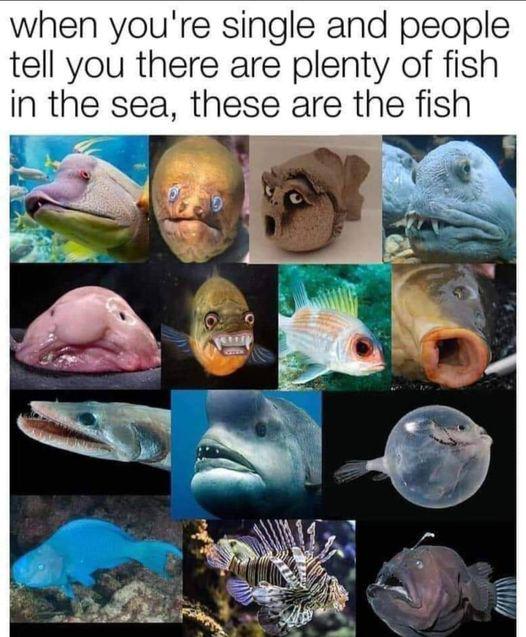 Meme by symphonyofmemes