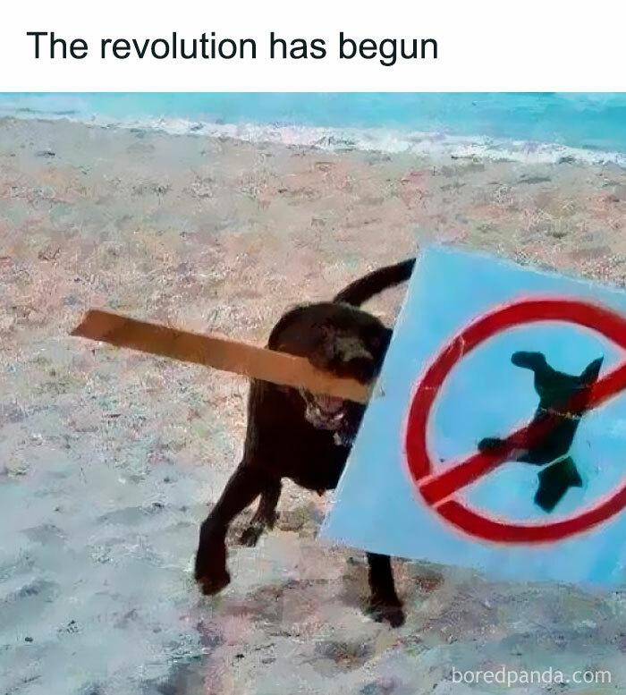 The revolution has begun boredpanda.com