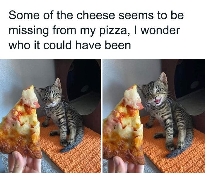 Meme by symphonyofmemes