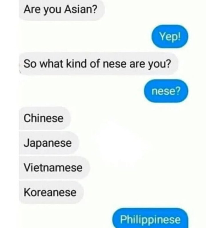 Are you Asian? So what kind of nese are you? Yep! nese? Chinese Japanese Vietnamese Koreanese Philippinese