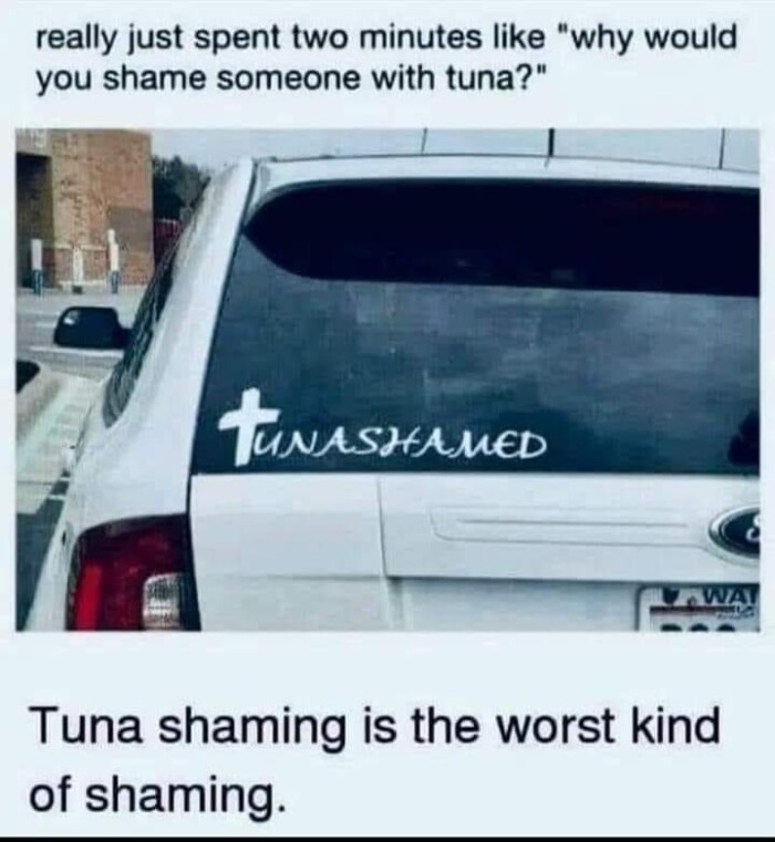really just spent two minutes like "why would you shame someone with tuna?" WAT Tuna shaming is the worst kind of shaming.