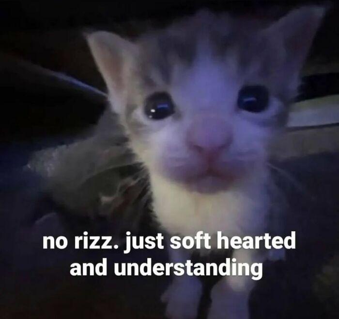 no rizz. just soft hearted and understanding