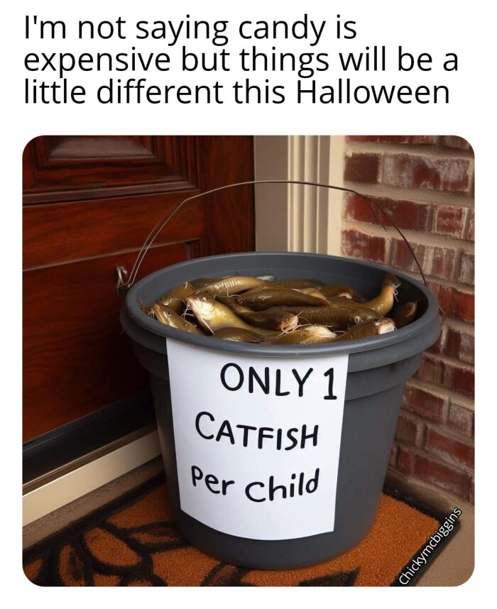 I'm not saying candy is expensive but things will be a little different this Halloween ONLY 1 CATFiSH Per child Chickymcbiggins