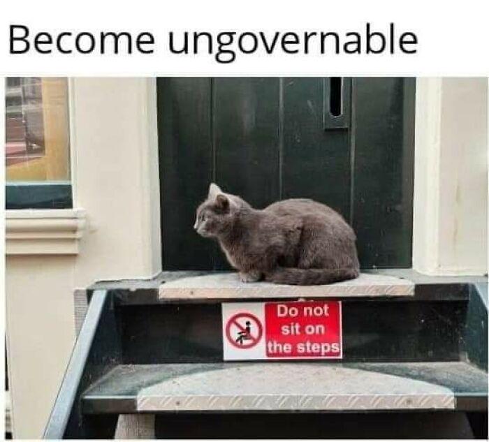 Become ungovernable Do not sit on the steps