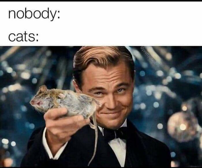 Meme by disneymemes