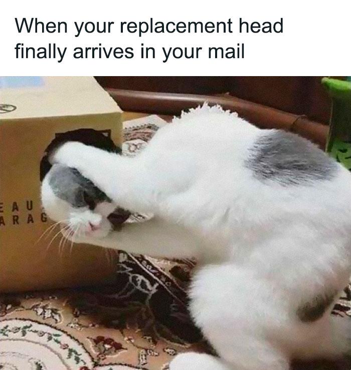 Meme by symphonyofmemes