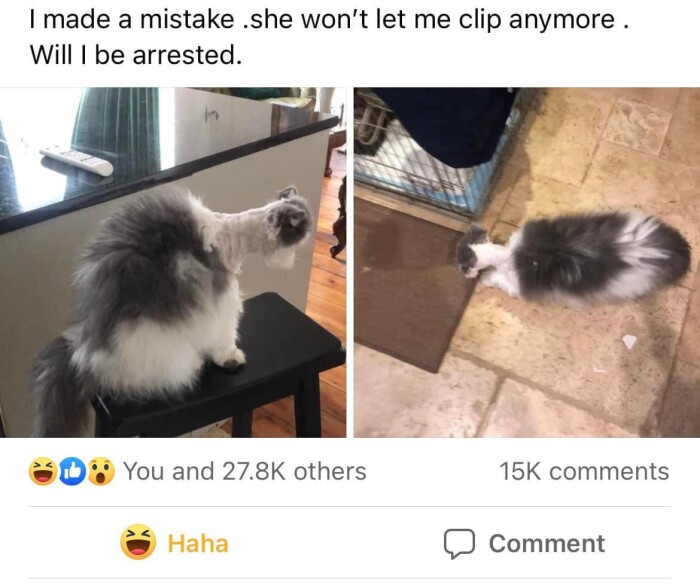 won't let me clip anymore. Will be arrested.