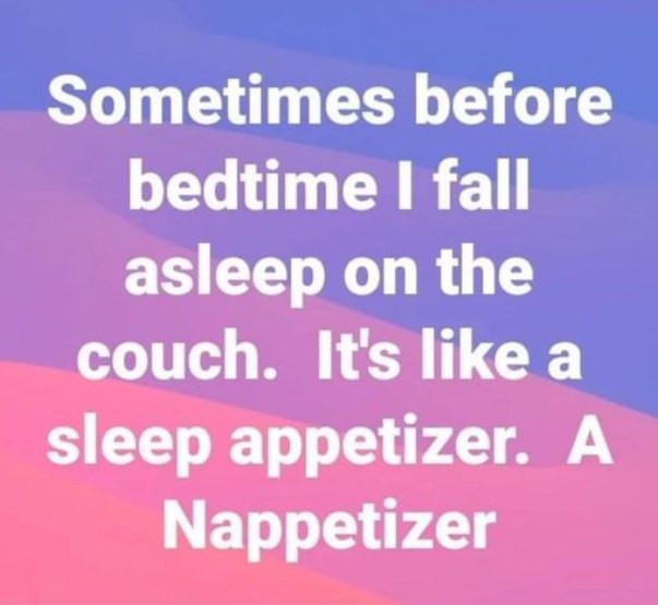 Sometimes before bedtime I fall asleep on the couch. It's like a sleep appetizer. A Nappetizer