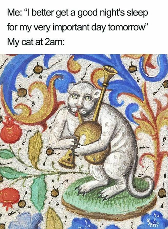 Meme by amazingmemes