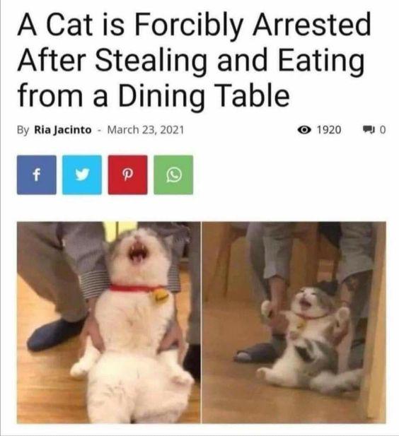 Meme by amazingmemes