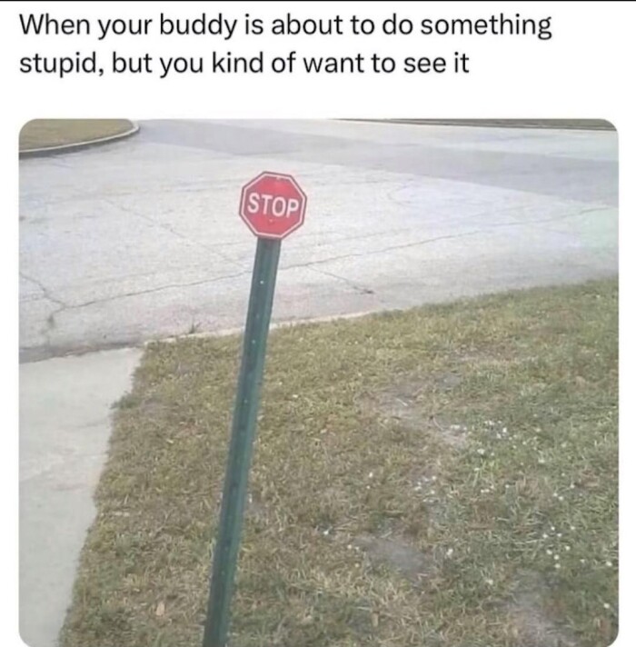 Meme by memelover