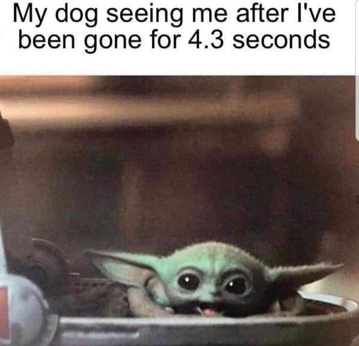 Meme by disneymemes