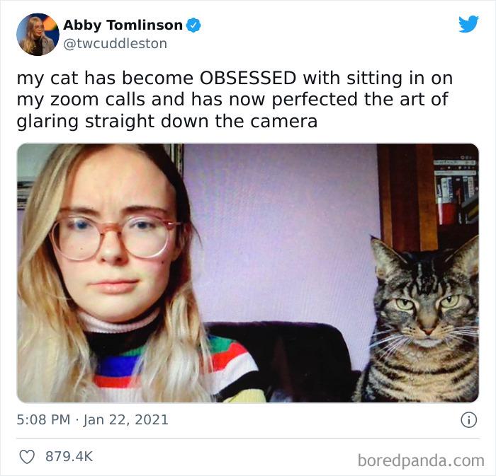 Meme by catsoncatnip
