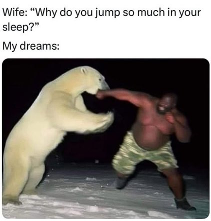 you jump so much in your sleep?" My dreams: